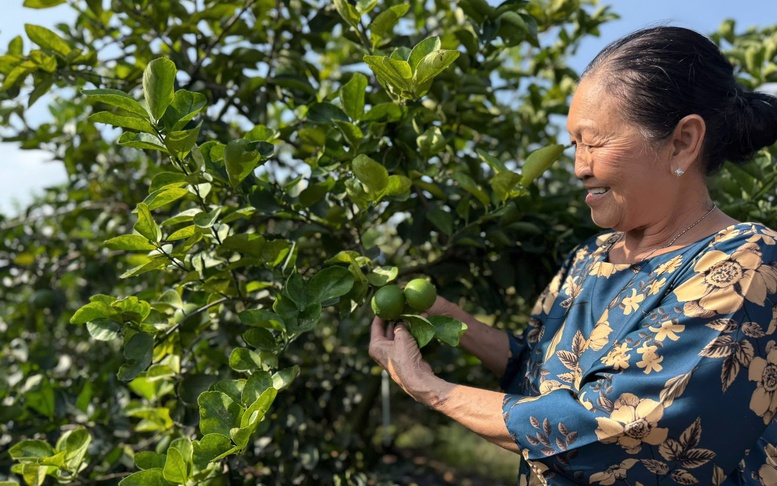 Xuất khẩu nông lâm thủy sản: Nhiều ngành hàng tăng tốc, mở rộng thị phần