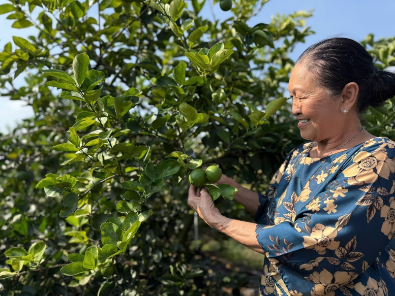 Xuất khẩu nông lâm thủy sản: Nhiều ngành hàng tăng tốc, mở rộng thị phần- Ảnh 2.