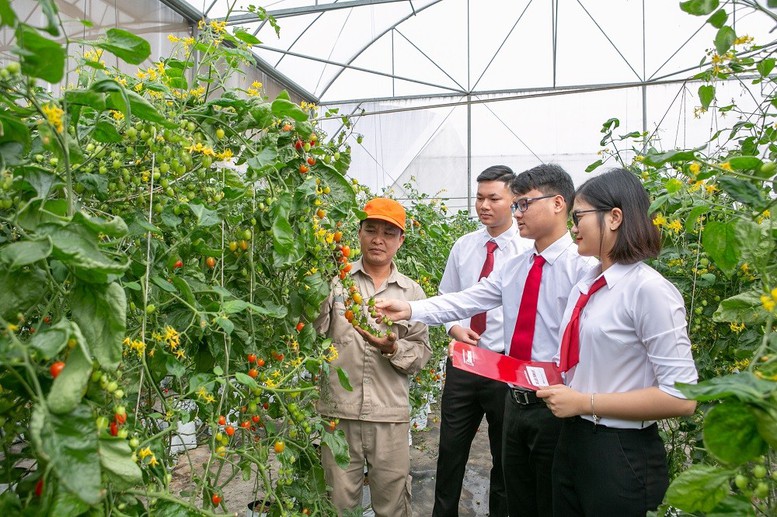 Agribank – dòng vốn chủ lực đồng hành cùng nông nghiệp Việt Nam- Ảnh 2.