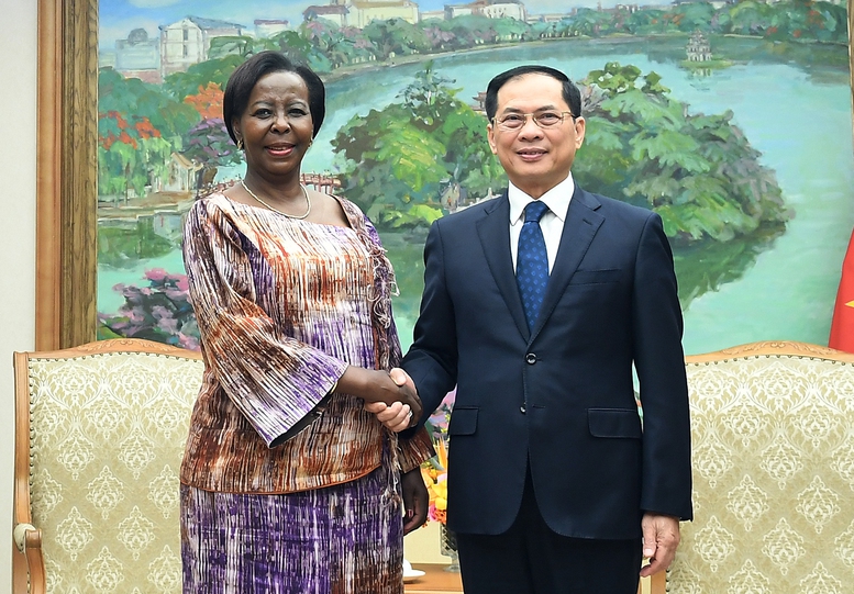 Việt Nam là "niềm tự hào" của Cộng đồng Pháp ngữ- Ảnh 1.