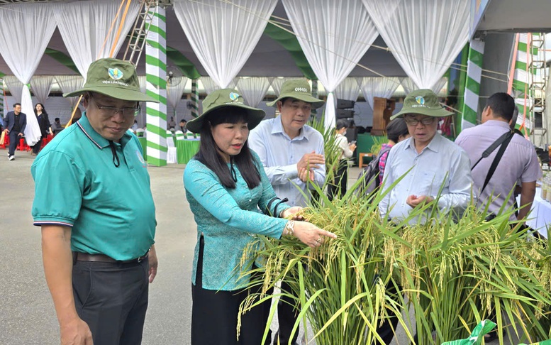 Ngày hội nông dân trồng lúa 2026: Thúc đẩy sản xuất lúa chất lượng cao, giảm phát thải ở ĐBSCL