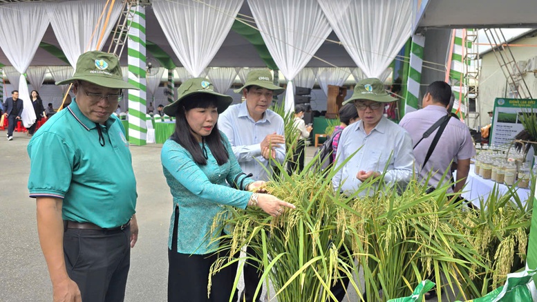 Ngày hội nông dân trồng lúa 2026: Thúc đẩy sản xuất lúa chất lượng cao, giảm phát thải ở ĐBSCL- Ảnh 2.
