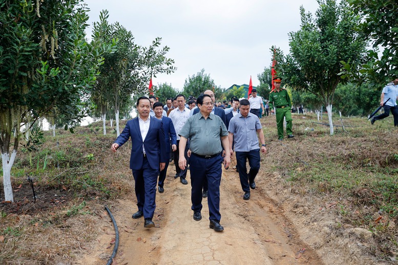 Thủ tướng Phạm Minh Chính: Cần biến núi rừng Tây Bắc trùng điệp thành của cải vật chất- Ảnh 1.