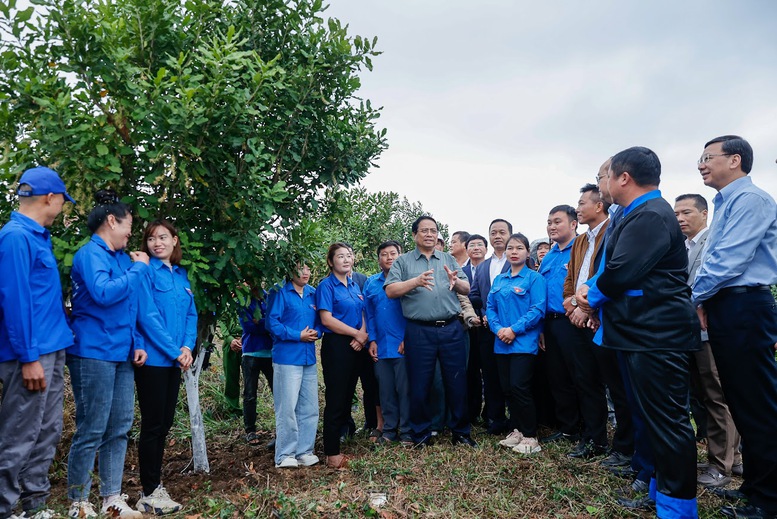 Thủ tướng Phạm Minh Chính: Cần biến núi rừng Tây Bắc trùng điệp thành của cải vật chất- Ảnh 3.