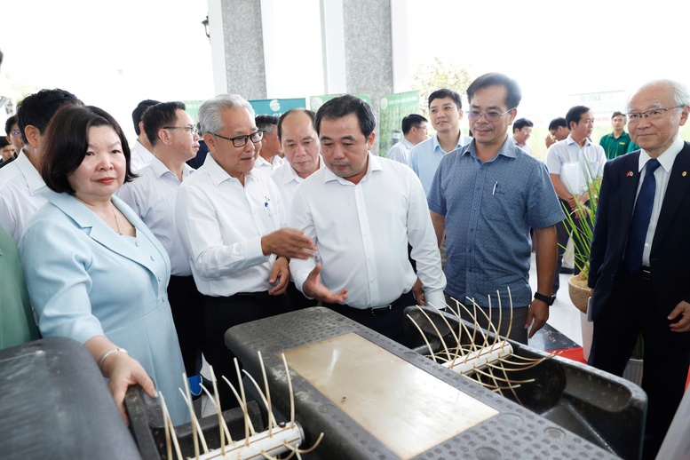 Đề án 1 triệu ha lúa chất lượng cao: Sau 2 năm vượt 197% mục tiêu, mở đường cho nông nghiệp xanh- Ảnh 2.