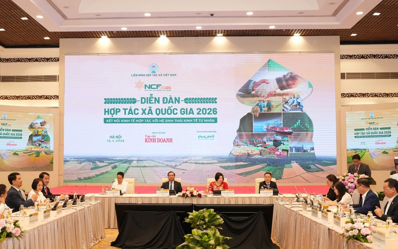 Kết nối hợp tác xã với kinh tế tư nhân: Tạo động lực phát triển mới