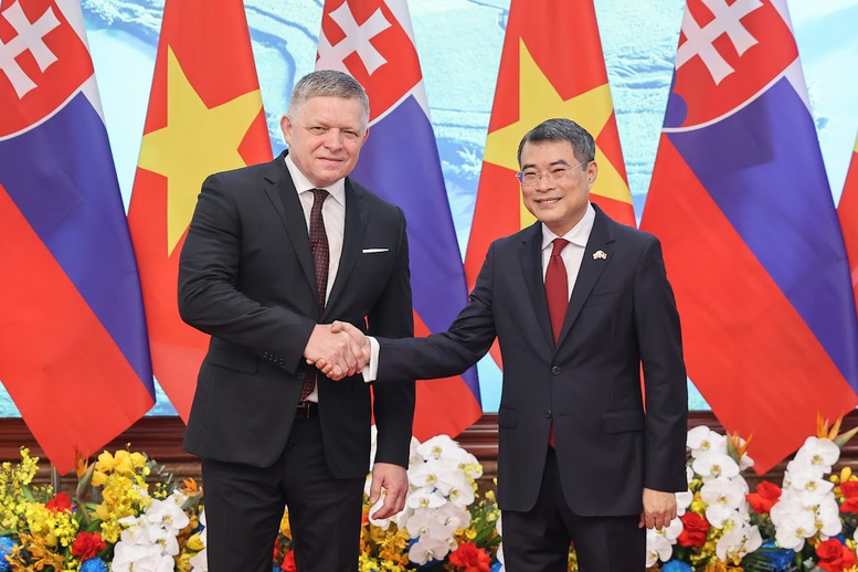 Thủ tướng Lê Minh Hưng hội đàm với Thủ tướng Cộng hòa Slovakia Robert Fico- Ảnh 1.