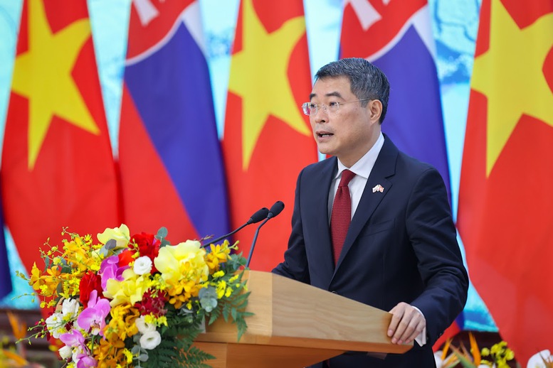 Hai Thủ tướng nhất trí nâng cấp quan hệ Việt Nam – Slovakia lên Đối tác chiến lược- Ảnh 3.