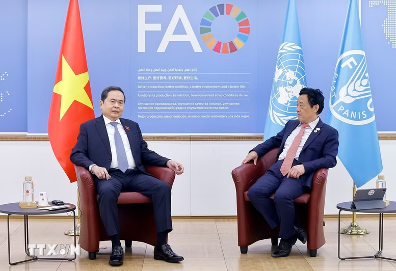 Thúc đẩy hợp tác nông nghiệp, an ninh lương thực giữa Việt Nam và FAO- Ảnh 2.