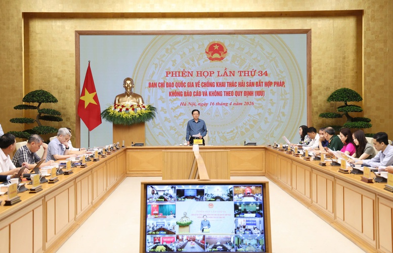 Tăng tốc gỡ 'thẻ vàng' IUU: Hành động quyết liệt, khắc phục triệt để khuyến nghị của EC- Ảnh 1.