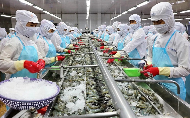 Chuyển đổi ngành tôm: Từ tăng trưởng nhanh đến phát triển bền vững