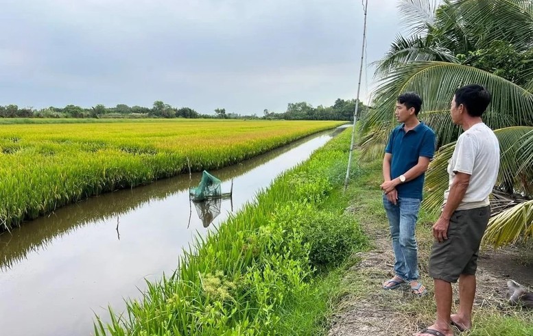 Cà Mau tổ chức Cuộc thi Gạo ngon vùng ĐBSCL lần thứ I năm 2026- Ảnh 2.