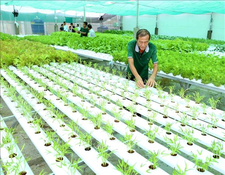 'Hàng rào xanh' của EU: Cần sự thay đổi tư duy của doanh nghiệp- Ảnh 1.