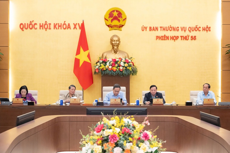 Nhiều cải tiến, đổi mới về phương thức tổ chức, điều hành trong hoạt động giám sát- Ảnh 1.