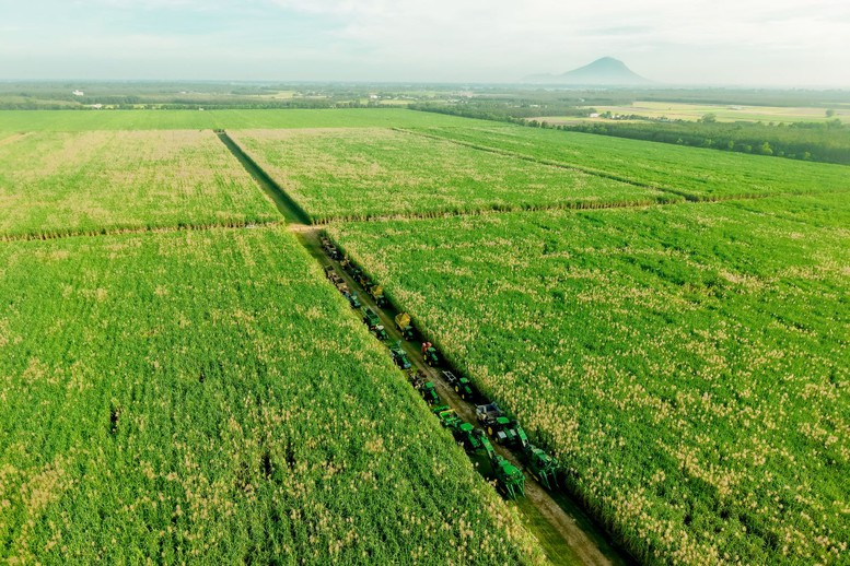 AgriS kiến tạo chuỗi giá trị mới, chung sức đóng góp tăng trưởng 10% trở lên- Ảnh 3.