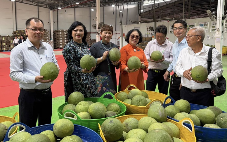 Bưởi Việt Nam trước 