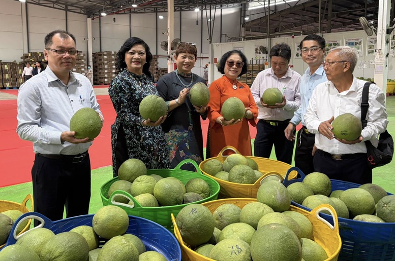 Bưởi Việt Nam trước "cửa" tỷ đô, tránh vấp bài học sầu riêng- Ảnh 1.