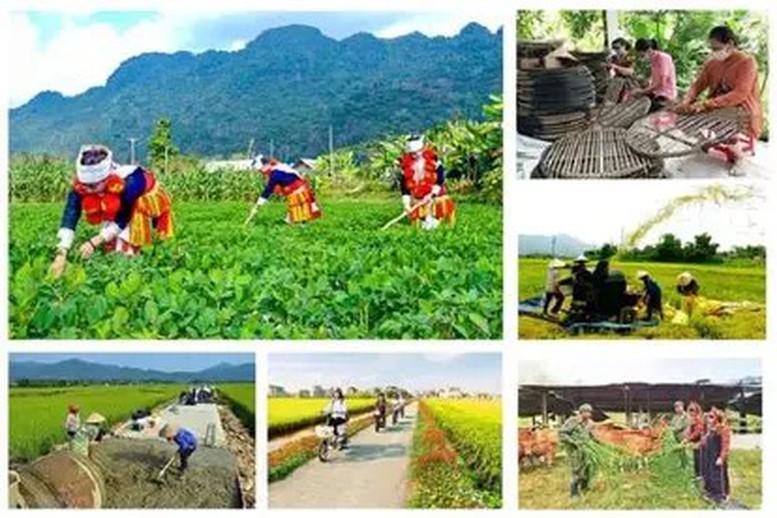 Chương trình mục tiêu quốc gia giai đoạn mới: Hoàn thiện thể chế, tập trung nguồn lực cho cơ sở- Ảnh 1.