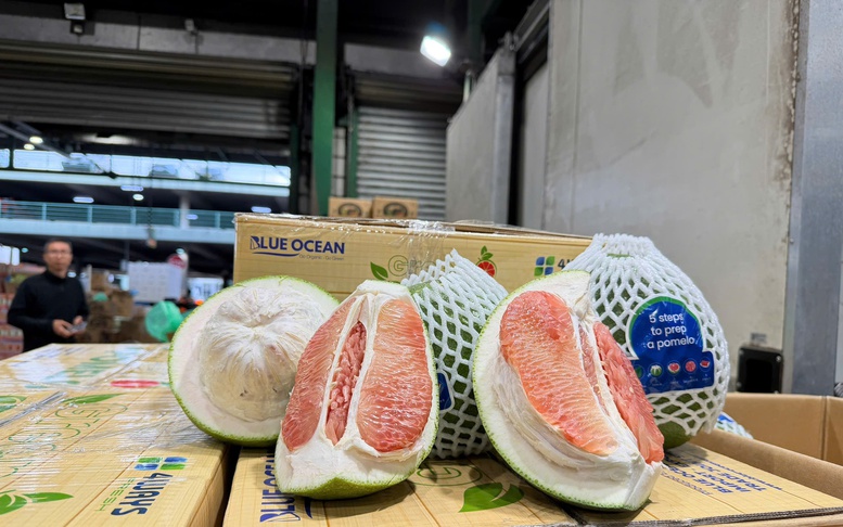 Bưởi tươi Việt Nam chính thức xuất khẩu sang Australia