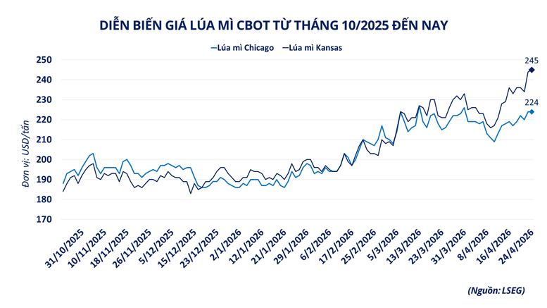 THỊ TRƯỜNG HÀNG HÓA: MXV-Index tiệm cận vùng cao nhất kể từ đầu năm- Ảnh 2.