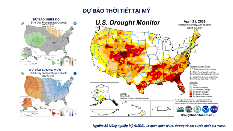 THỊ TRƯỜNG HÀNG HÓA: MXV-Index tiệm cận vùng cao nhất kể từ đầu năm- Ảnh 3.