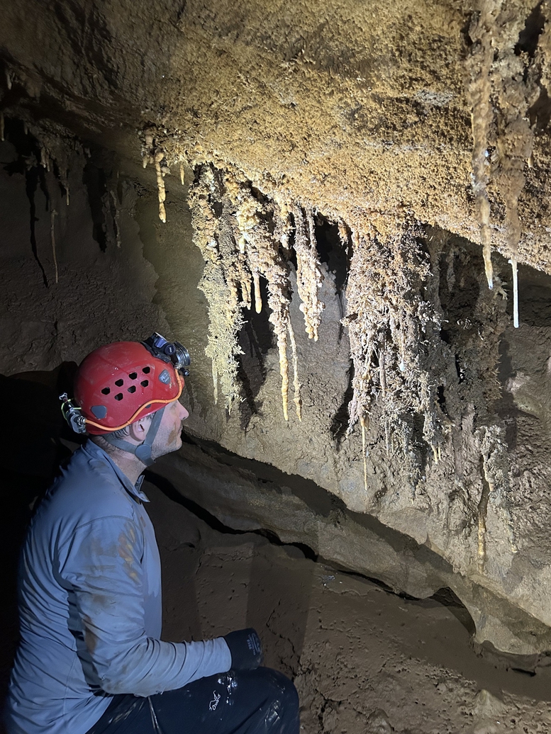 Phát hiện thêm 26 hang động mới tại Vườn Quốc gia Phong Nha - Kẻ Bàng- Ảnh 15.