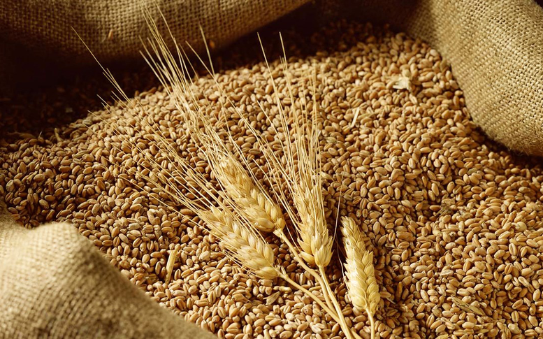 THỊ TRƯỜNG HÀNG HÓA: MXV-Index tiệm cận vùng cao nhất kể từ đầu năm