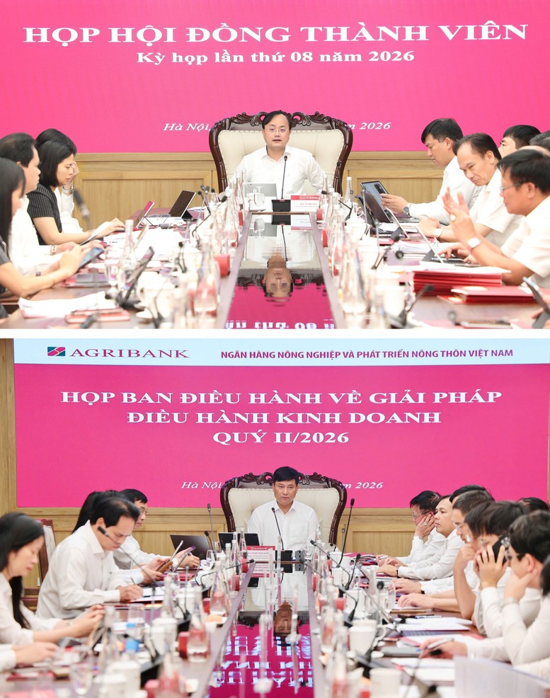 Agribank quyết liệt hành động hiện thực hóa mục tiêu tăng trưởng hai con số- Ảnh 3.