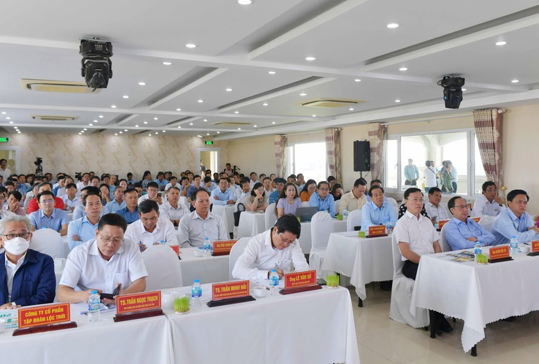 Cà Mau thúc đẩy liên kết, nâng tầm chuỗi giá trị lúa gạo- Ảnh 1.