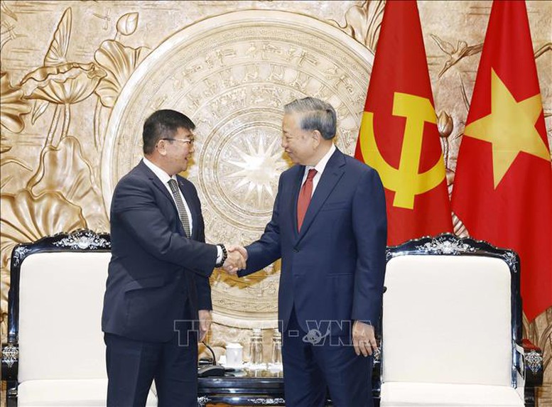 Tổng Bí thư, Chủ tịch nước Tô Lâm tiếp Đại sứ Mông Cổ- Ảnh 2.