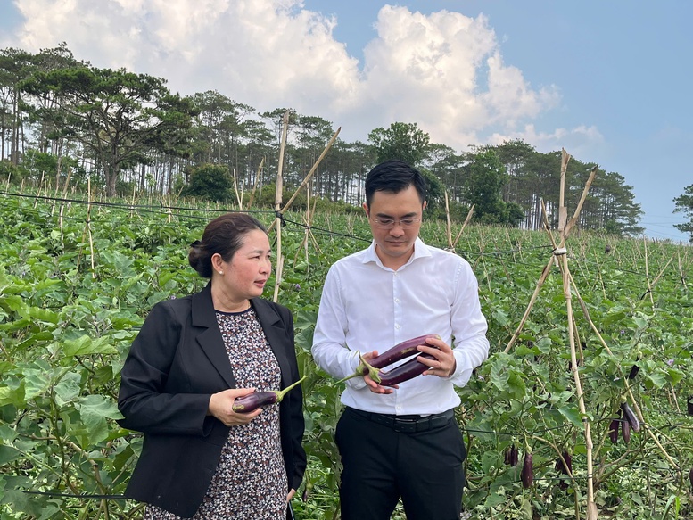 Quỹ Hỗ trợ phát triển Hợp tác xã: "Đòn bẩy" tài chính giúp kinh tế tập thể bứt phá- Ảnh 1.