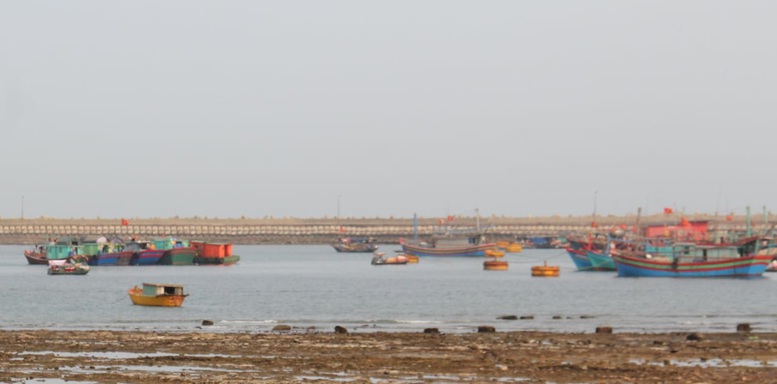 Nông sản xuất khẩu: Chủ động trước 'cú sốc' Trung Đông- Ảnh 2.