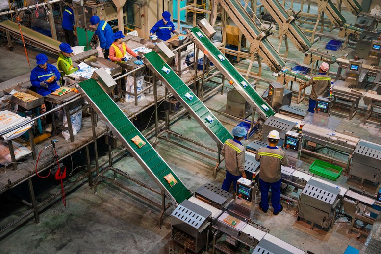 Nghị quyết 79: Làn gió mới cho “hệ sinh thái công – tư đồng hành”- Ảnh 3.