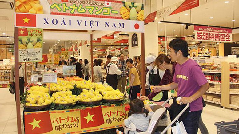 Đẩy mạnh huy động người Việt Nam ở nước ngoài giới thiệu sản phẩm, phát triển kênh phân phối hàng Việt Nam ở nước ngoài - Ảnh 1.