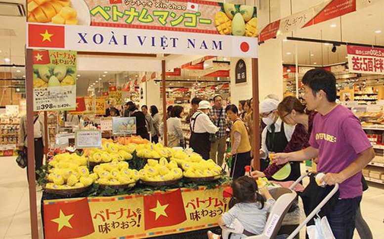 Đẩy mạnh huy động người Việt Nam ở nước ngoài giới thiệu sản phẩm, phát triển kênh phân phối hàng Việt Nam ở nước ngoài