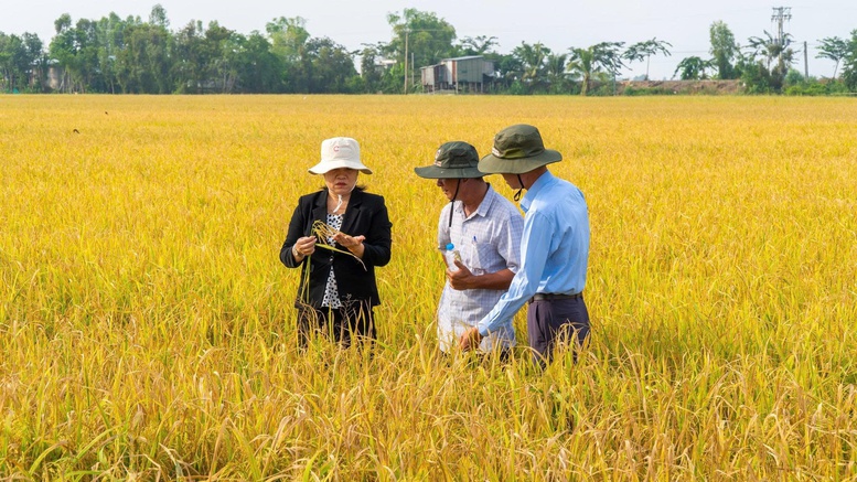 'Bón đúng, bón ít' – Triết lý làm nông nghiệp tử tế của một doanh nghiệp phân bón- Ảnh 2.