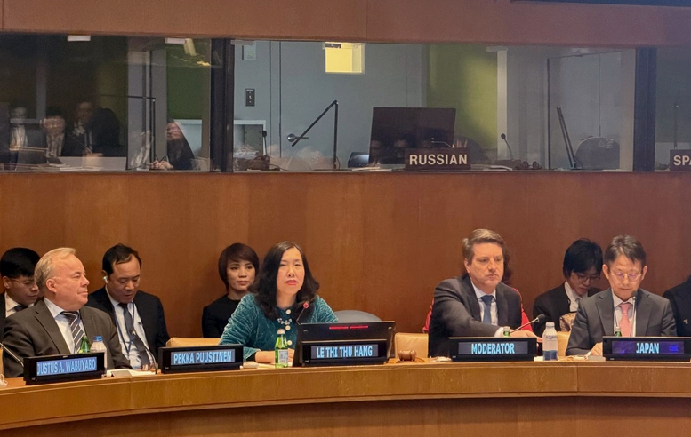 Việt Nam chủ trì Tọa đàm về sử dụng hòa bình năng lượng hạt nhân- Ảnh 1.