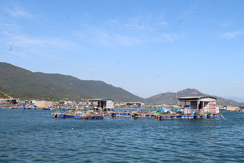 Chính phủ ban hành 8 Nghị quyết cắt giảm, phân cấp, đơn giản hóa TTHC, điều kiện kinh doanh- Ảnh 1.