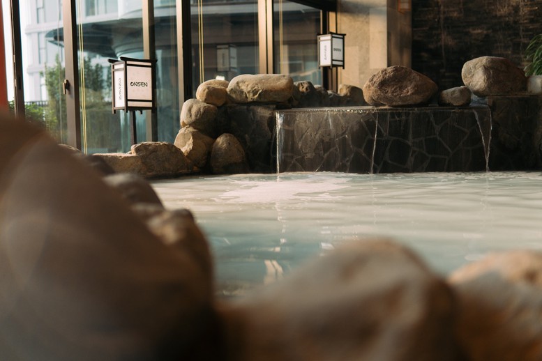 Nhà sáng lập Ecopark chính thức ra mắt tổ hợp khoáng nóng cao tầng đầu tiên tại miền Nam- Ảnh 2.