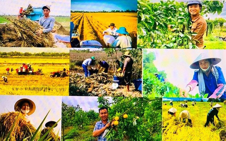 Thúc đẩy phát triển nông nghiệp, nông thôn bền vững