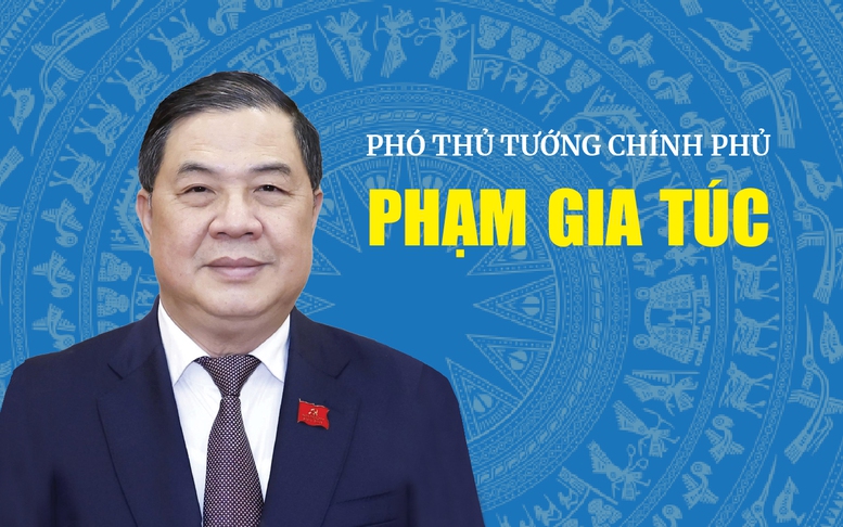 Infographic: Tiểu sử tóm tắt Phó Thủ tướng Thường trực Chính phủ Phạm Gia Túc