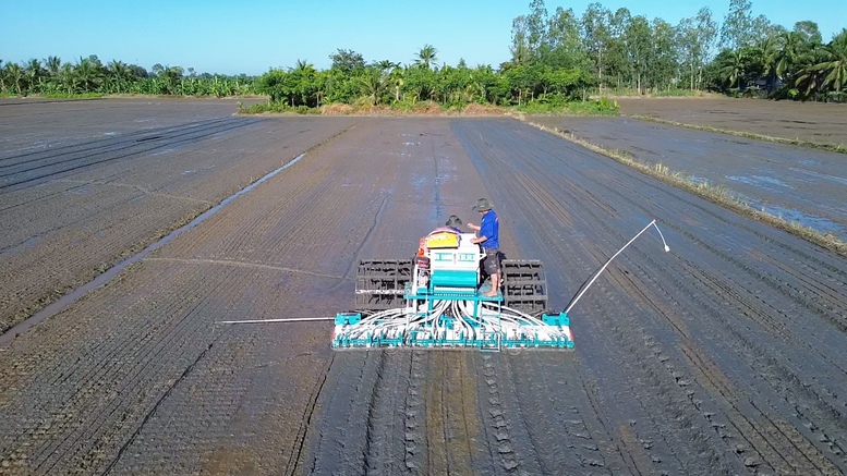 Quản lý dinh dưỡng chính xác: Giải pháp đột phá cho canh tác lúa tại ĐBSCL- Ảnh 1. Quản lý dinh dưỡng chính xác: Giải pháp đột phá cho canh tác lúa tại ĐBSCL- Ảnh 1.