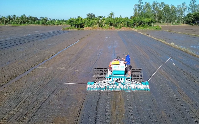 Quản lý dinh dưỡng chính xác: Giải pháp đột phá cho canh tác lúa tại ĐBSCL