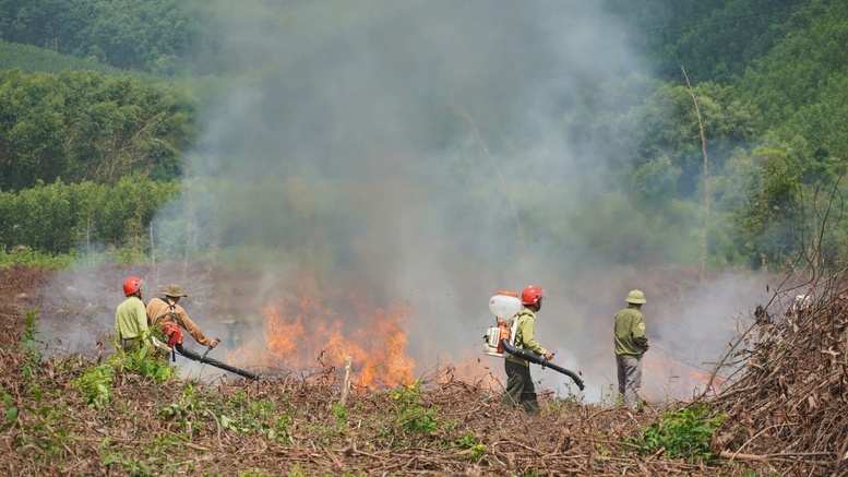 Nắng nóng gay gắt, miền Trung cấp bách phòng cháy, chữa cháy rừng- Ảnh 1. Nắng nóng gay gắt, miền Trung cấp bách phòng cháy, chữa cháy rừng- Ảnh 1.