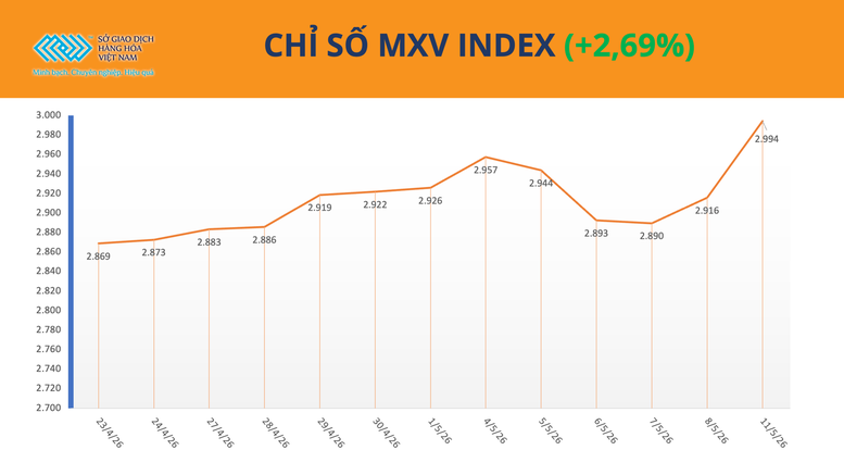 MXV-Index áp sát mốc 3.000 điểm, giá đồng lập kỷ lục mới- Ảnh 1.
