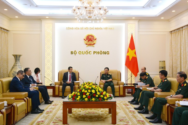 Phó Thủ tướng Chính phủ, Bộ trưởng Bộ Quốc phòng Phan Văn Giang tiếp Đại sứ Thụy Điển và Đại sứ Algeria- Ảnh 2.