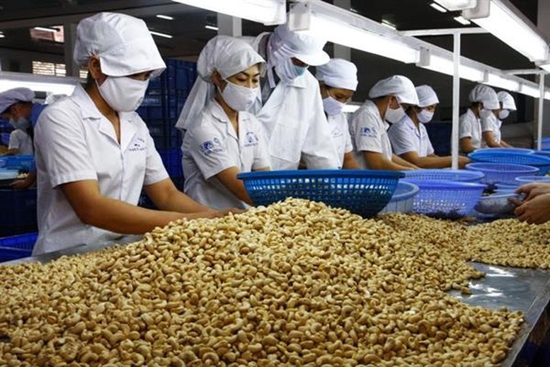 Ngành điều Việt Nam: Từ 'công xưởng chế biến' tới bài toán thương hiệu- Ảnh 1.