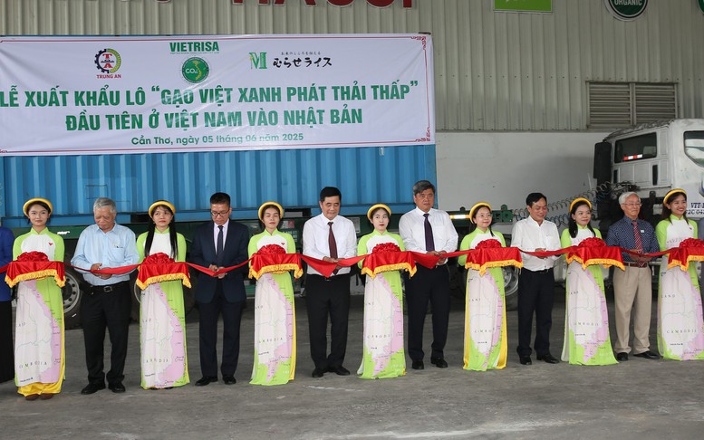 Gắn 'hộ chiếu xanh' cho thương hiệu gạo Việt phát thải thấp