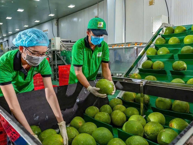 Bưởi, chanh Việt Nam rộng cửa vào thị trường Trung Quốc- Ảnh 2.
