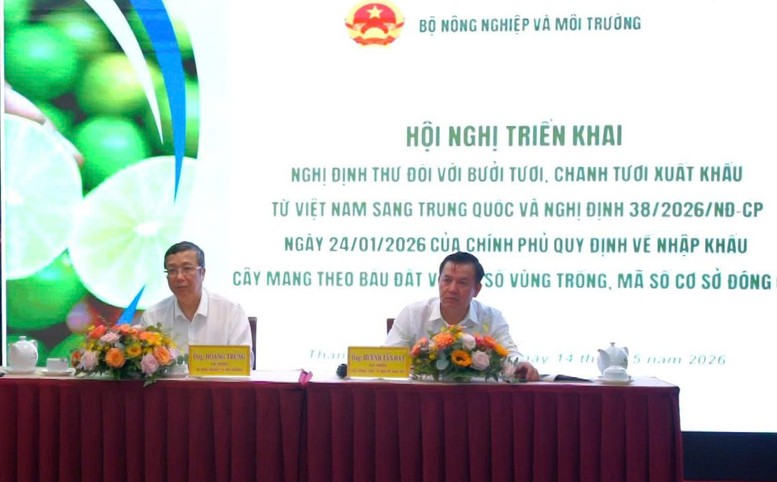 Bưởi, chanh Việt Nam rộng cửa vào thị trường Trung Quốc- Ảnh 1.